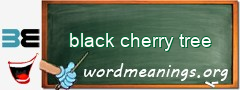 WordMeaning blackboard for black cherry tree